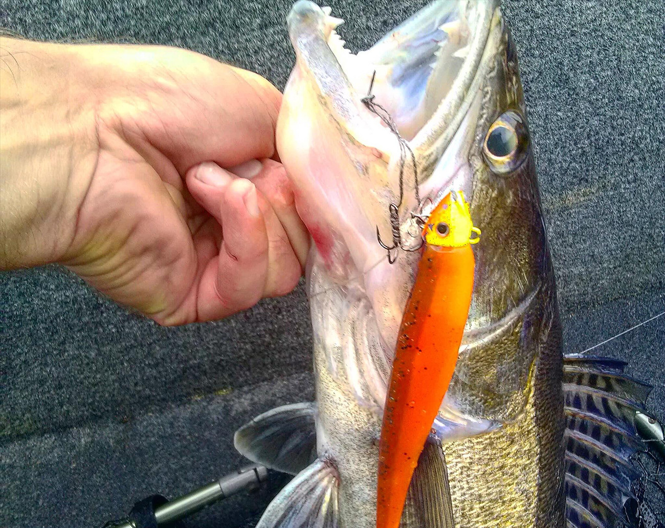 Lunker City Fin-S Fish 10 cm